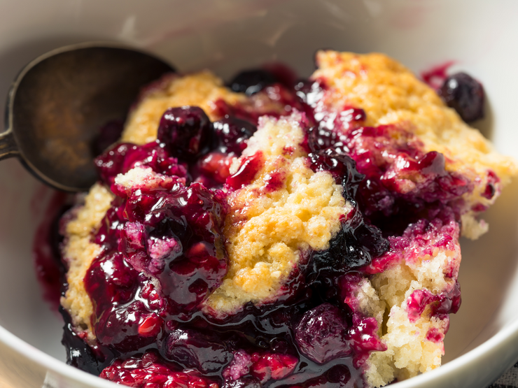 Just Like Grandma's Old Fashioned Blueberry Cobbler – VanillaPura