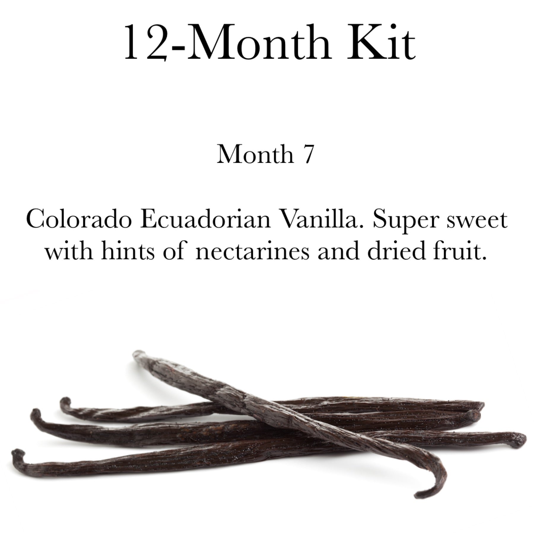 clubVpura12+ The Art of Extract Making Kit + Group Buy Vanilla of The –  VanillaPura